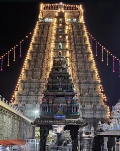 Temple gopuram illuminated during festival